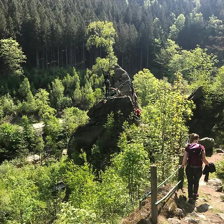 Am Waeldchen * Bad Harzburg