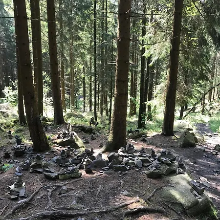 Am Waeldchen Apartamento *