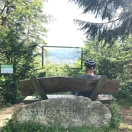 Am Waeldchen Apartamento Bad Harzburg