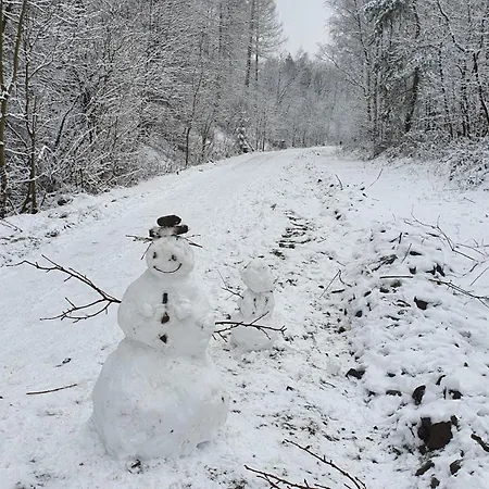 Apartamento Am Waeldchen