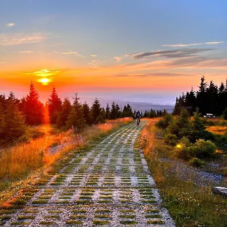 Apartamento Am Waeldchen Bad Harzburg